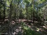 34 acres State Highway 304 - Photo 34