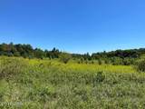9.8 Acres Tyler Tr - Photo 5