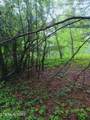 2595 Highway 31 - Photo 10