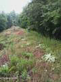 2595 Highway 31 - Photo 17