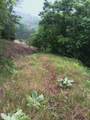 2595 Highway 31 - Photo 30