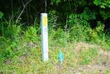  Hidden River Lane - Photo 7