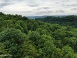 171 Bluff View Rd - Photo 20