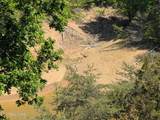 2046 Turners Landing Rd - Photo 29