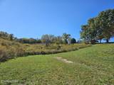  Shoreline Vista - Photo 2
