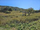  Shoreline Vista - Photo 5