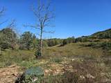  Shoreline Vista - Photo 8