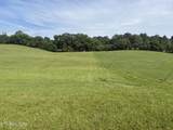  Holston River Drive - Photo 2