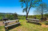 3710 Weber Rd - Photo 38