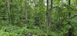 Lot 48-49 Bear Creek Rd - Photo 10
