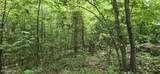 Lot 48-49 Bear Creek Rd - Photo 12