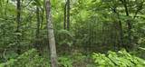 Lot 48-49 Bear Creek Rd - Photo 14