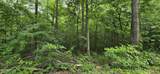 Lot 48-49 Bear Creek Rd - Photo 9