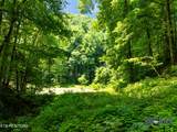 Lot 1 Carrs Creek Rd - Photo 12