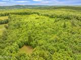 0 Grigsby Hollow Rd - Photo 8
