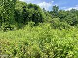 0 Davis Hollow Rd - Photo 4