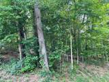 64 Riddle St - Photo 6