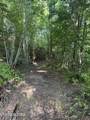 TBD Wallens Ridge Rd - Photo 3