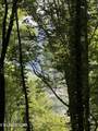 TBD Wallens Ridge Rd - Photo 4