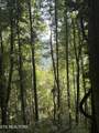 TBD Wallens Ridge Rd - Photo 5