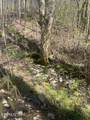 Lot 1 Old Furnace Rd - Photo 3