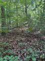 Lot 3 Old Furnace Rd - Photo 11