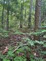 Lot 3 Old Furnace Rd - Photo 12