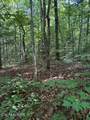 Lot 3 Old Furnace Rd - Photo 13