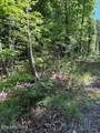 Lot 3 Old Furnace Rd - Photo 2