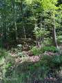 Lot 3 Old Furnace Rd - Photo 3