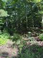 Lot 3 Old Furnace Rd - Photo 4