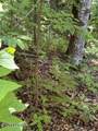 lot 4 Old Furnace Rd - Photo 2