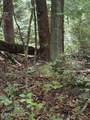 lot 4 Old Furnace Rd - Photo 4