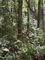 lot 4 Old Furnace Rd - Photo 6