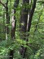 lot 4 Old Furnace Rd - Photo 8