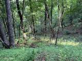 Lot 188 Chimney Rock Rd - Photo 13