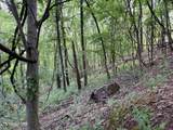 Lot 188 Chimney Rock Rd - Photo 15
