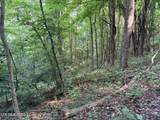 Lot 188 Chimney Rock Rd - Photo 6