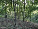 Lot 188 Chimney Rock Rd - Photo 8