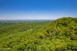  Butterfly Gap Rd - Photo 10