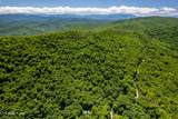  Butterfly Gap Rd - Photo 6