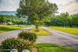 Lot 159 Flamingo Circle - Photo 13