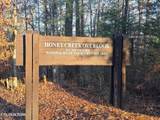 Lot 2&3 Honey Creek Loop Rd - Photo 12
