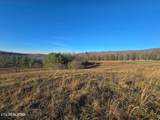 Lot 2&3 Honey Creek Loop Rd - Photo 6