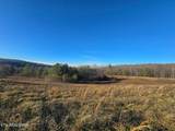 Lot 2&3 Honey Creek Loop Rd - Photo 7