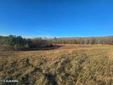 Lot 2&3 Honey Creek Loop Rd - Photo 8
