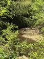 915 Chestnut Valley Rd - Photo 21