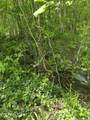 915 Chestnut Valley Rd - Photo 24