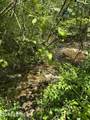915 Chestnut Valley Rd - Photo 25