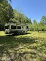 915 Chestnut Valley Rd - Photo 6